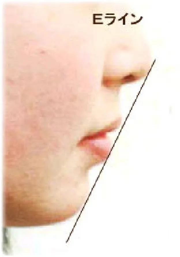 調和の取れた口元・Eラインについて